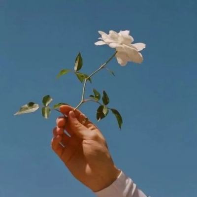 星辰降临时九游版下载