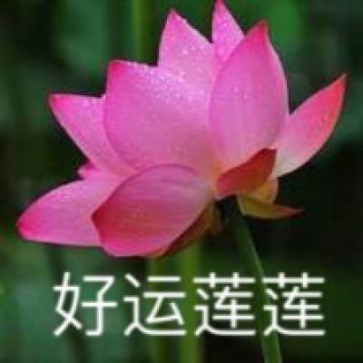贪吃蛇战争游戏下载